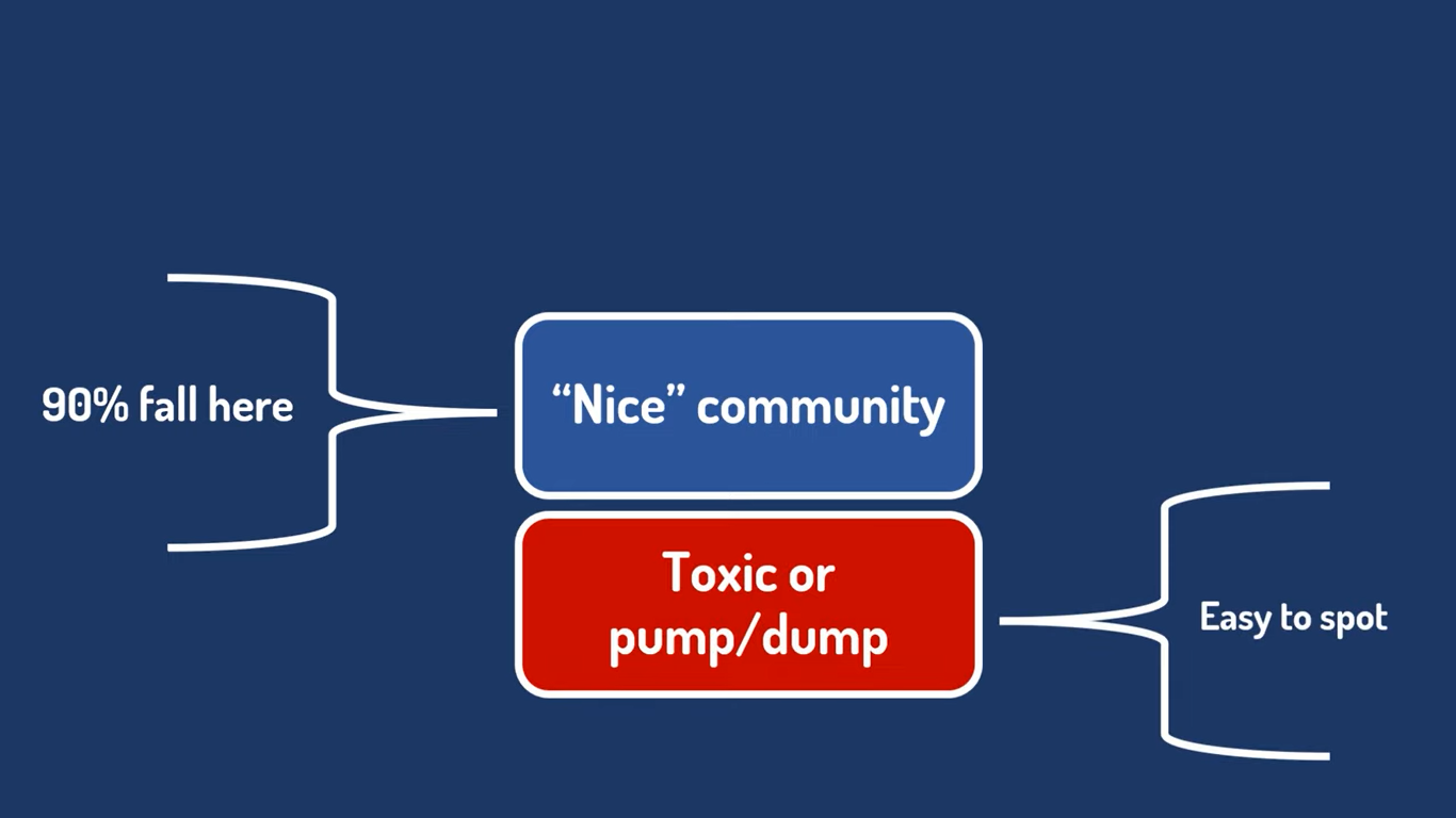 Nice and Toxic NFT Community